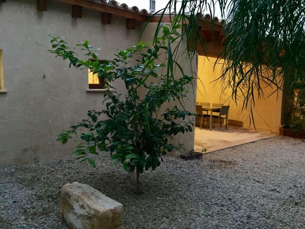 Almahome El Arenal  Exterior photo